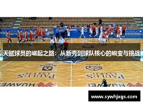 天赋球员的崛起之路：从新秀到球队核心的蜕变与挑战