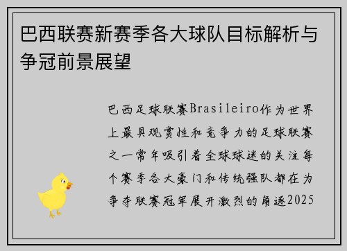 巴西联赛新赛季各大球队目标解析与争冠前景展望
